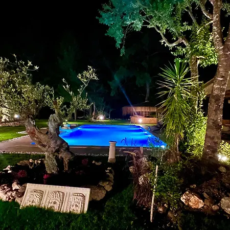 אכסניה Yusalis Garden קמר