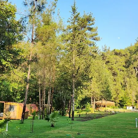 אכסניה Yusalis Garden *