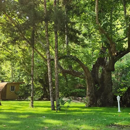 אכסניה Yusalis Garden קמר