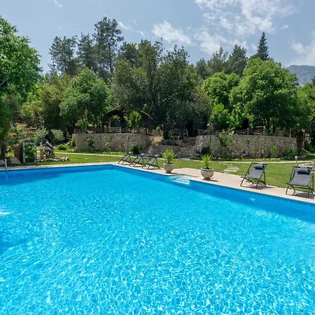 אכסניה Yusalis Garden קמר