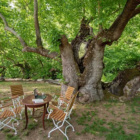 Yusalis Garden Chata Kemer